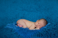 Hart Newborn